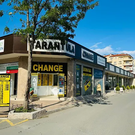 Grand Kamelia B 2,8 Large Sunny * Slantchev Briag