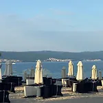 Grand Kamelia B 2,8 Large Sunny *